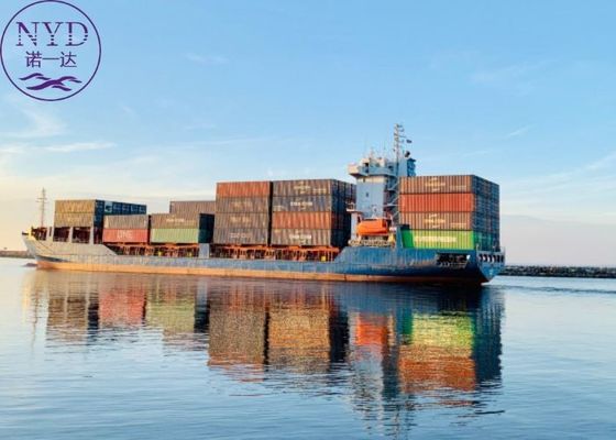 MSC Cargo FCL Sea Freight Agency Shipping Full Container Load Services
