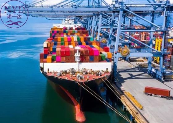 Global FCL Sea Freight Logistics Cargo International Shipping Agency