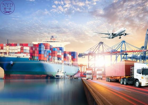 Logistics Agent Forwarder Sea Freight China To Europe Shipping