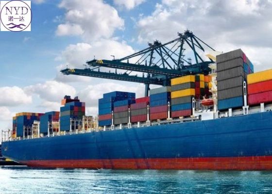 Customized Logistics International Sea Freight Services With Customs Clearance