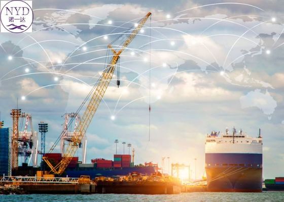 Secure DDU International Sea Freight Logistics Delivery From China To Norway